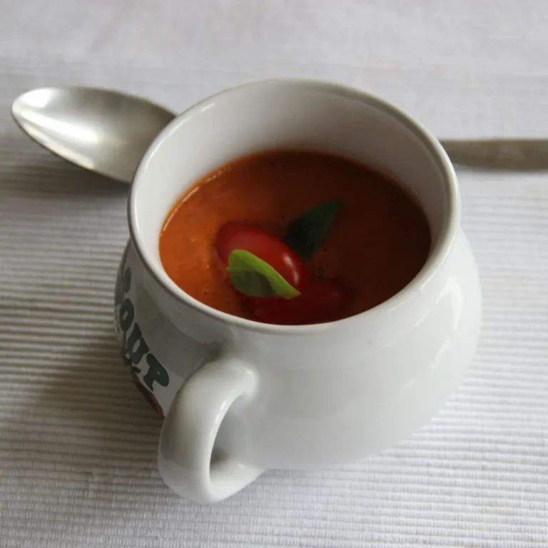 bariatric soup recipes
