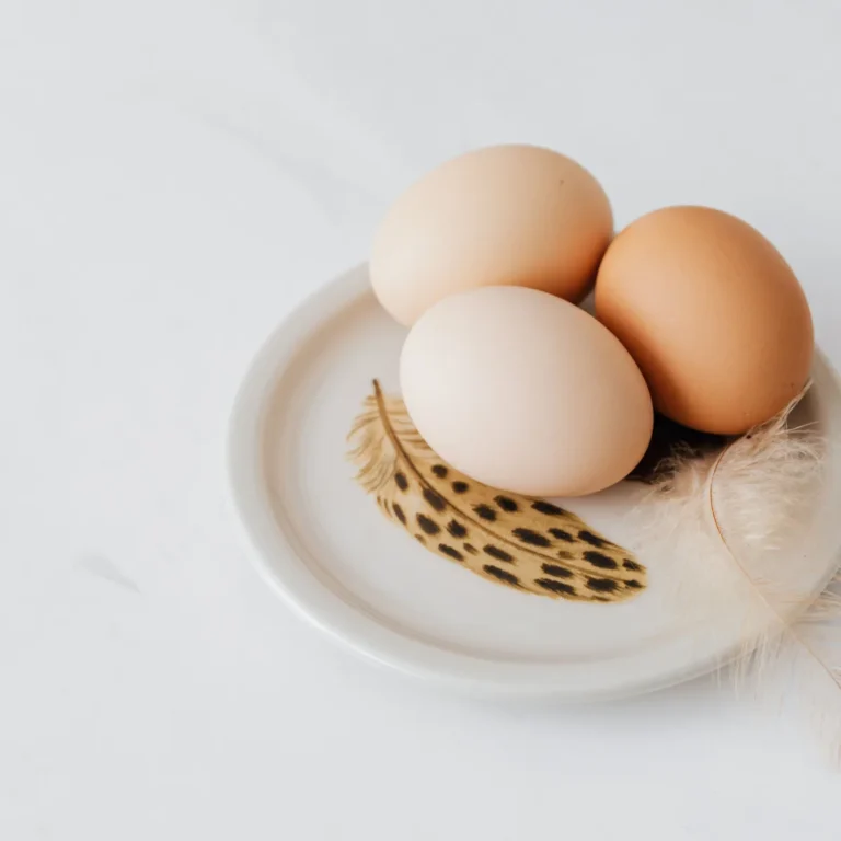 bariatric soft food list