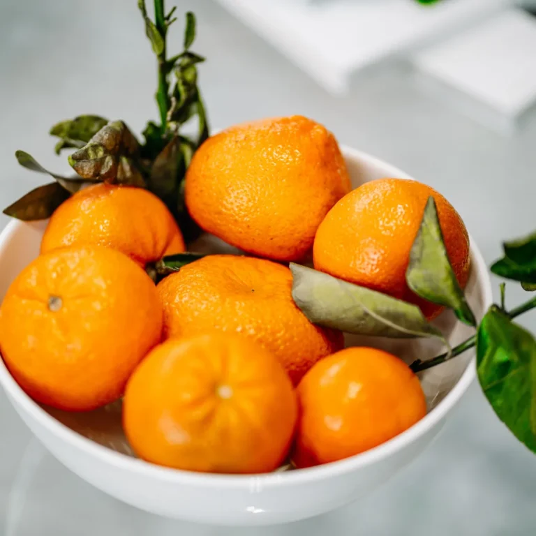 A dish of creamy orange fluff dessert dotted with mandarin orange segments