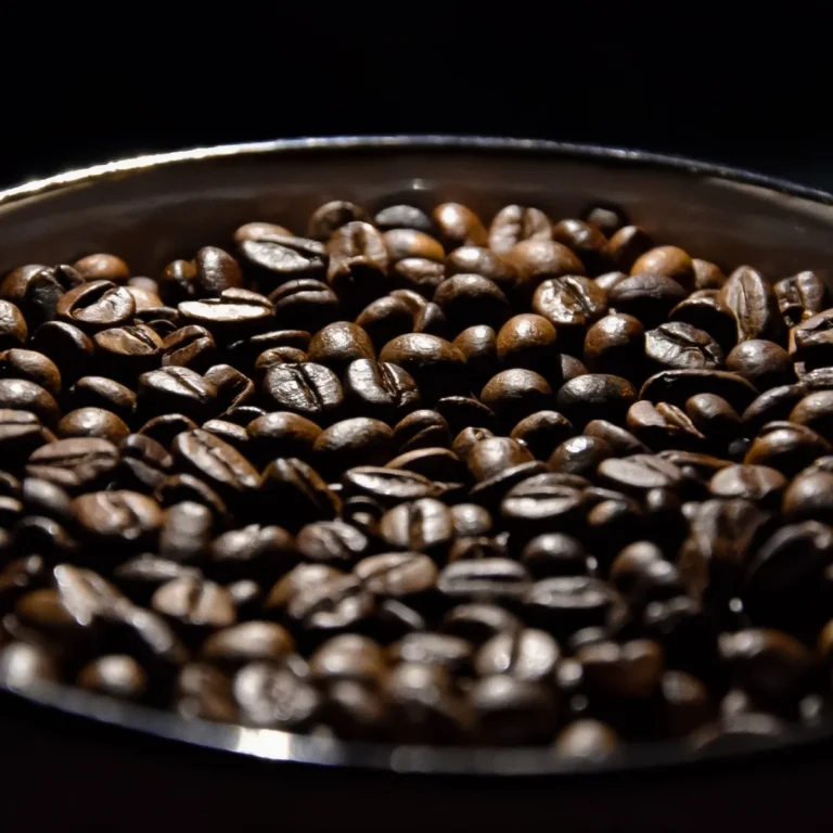what can i make with black beans