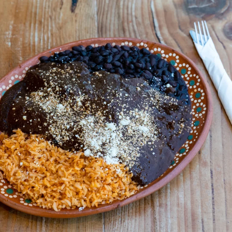 A clay plate of dark mole sauce with rice, beans and sesame seeds